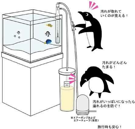 マメスキマー30cm水槽設置イメージ【 MAME・DESIGN-AQUA 】マメデザイン-アクア