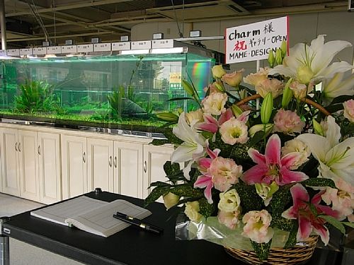 �`���[���M�������[�̐��ʓ���