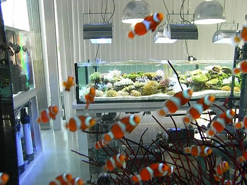 ��^�̃T���S����