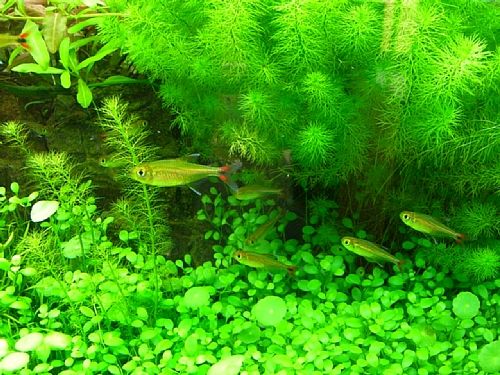 �唗�͂̐�������