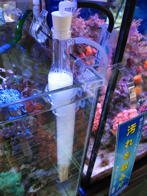 �ݒu�摜02�y�I�����W�x���[�z�}���X�L�}�[�R