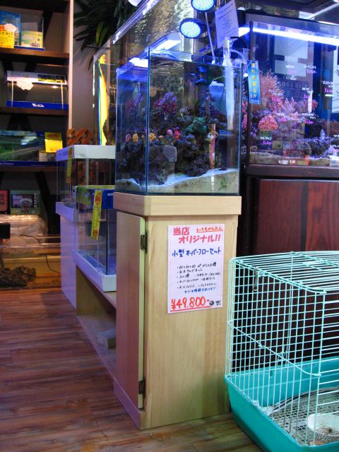 �ݒu�摜01�y�I�����W�x���[�z�}���X�L�}�[�R