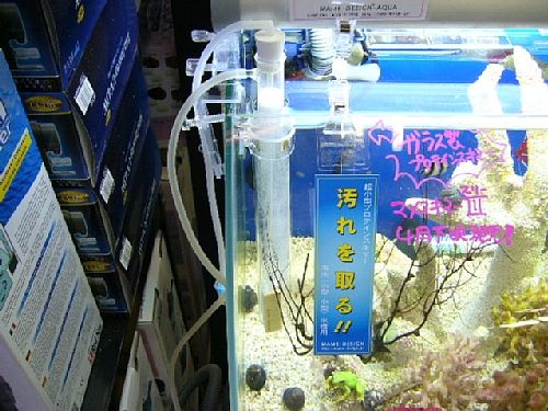 �ݒu�摜01�y�p�E�p�E�A�N�A�K�[�f���z�}���X�L�}�[�R