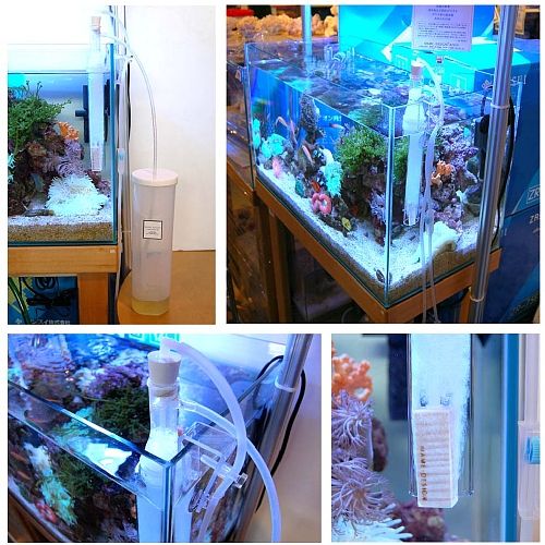 �ݒu�摜01�y�y���M���r���b�W�{�X�z�}���X�L�}�[�R