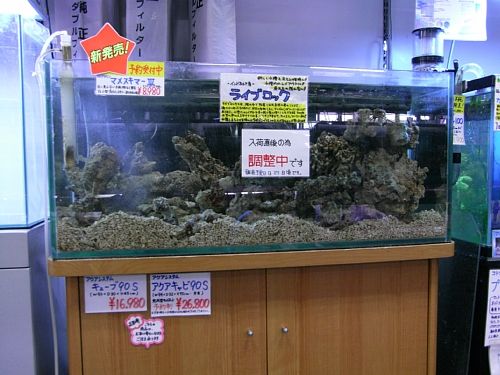 �ݒu�摜01�y�y�b�g�G�R�`�k�m�s�X�z�}���X�L�}�[�R