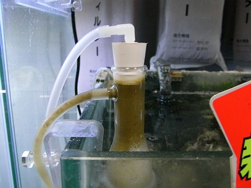 �ݒu�摜02�y�y�b�g�G�R�`�k�m�s�X�z�}���X�L�}�[�R