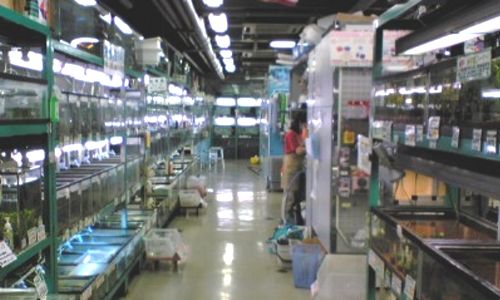 �ݒu�摜03�y�y�b�g�G�R�Ó�X�z�}���X�L�}�[�R