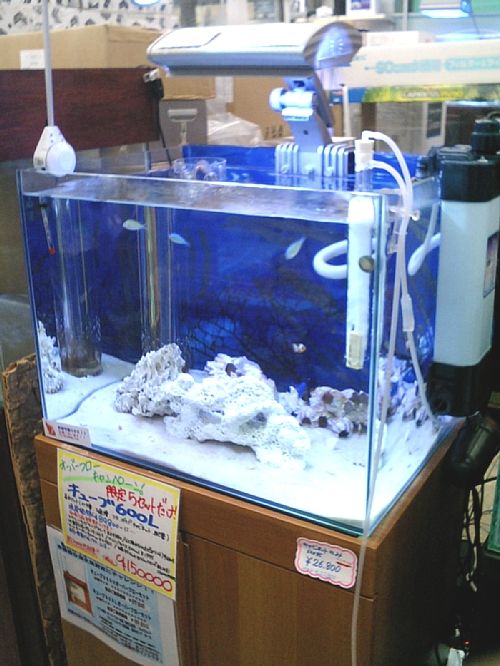 �ݒu�摜03�y�y�b�g�G�R�s�}�X�z�}���X�L�}�[�R