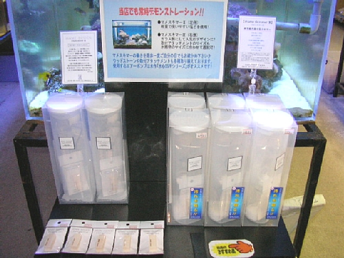 �ݒu�摜03�y�Z���o�X�`���X�z�}���X�L�}�[�R