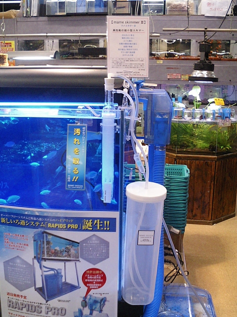 �ݒu�摜�y�X�v���b�V��:�{�O���X�z�}���X�L�}�[�R